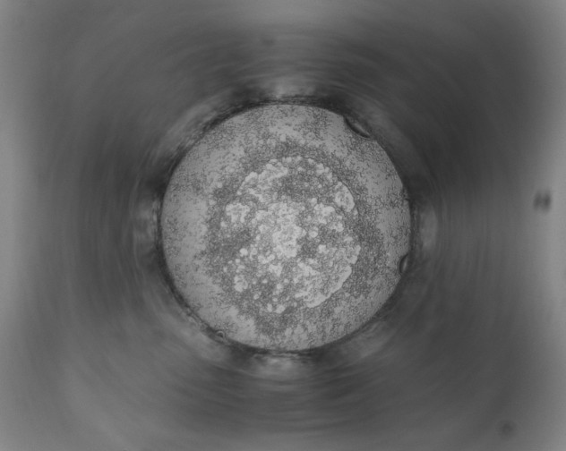 X0000110910475200907021439