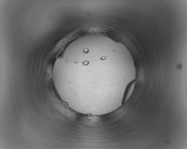 X0000110910478200907021439