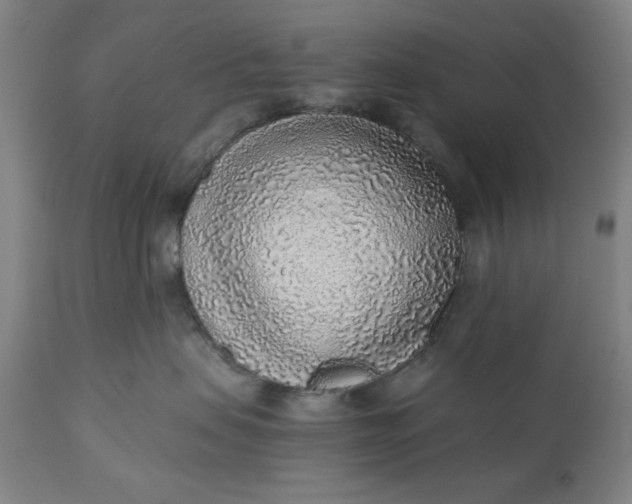 X0000110910479200907021439