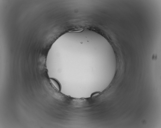 X0000110910480200907021439