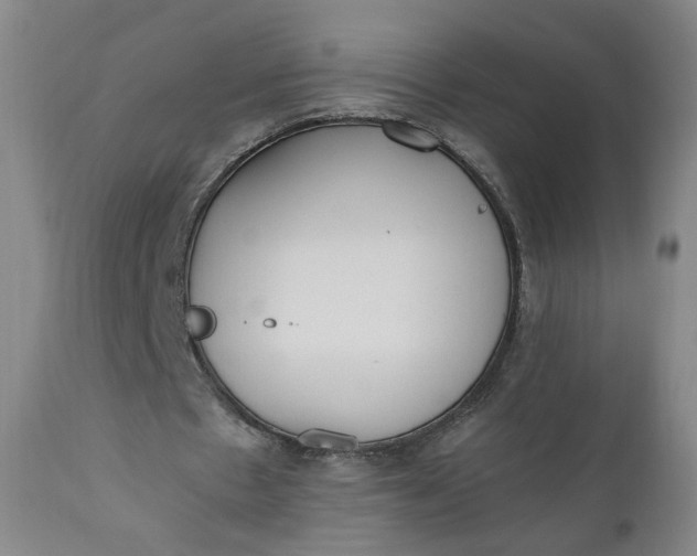 X0000110910481200907021439