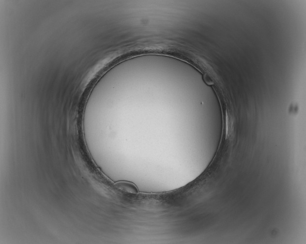 X0000110910483200907021439