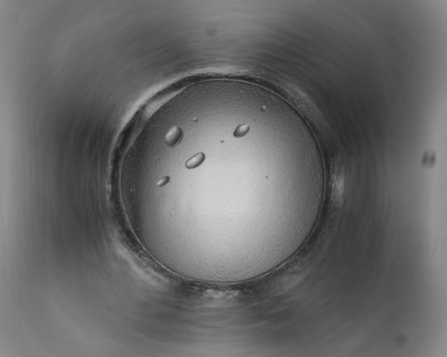 X0000110910484200907021439