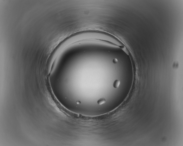 X0000110910485200907021439