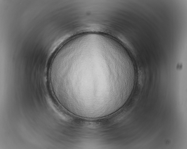 X0000110910486200907021439