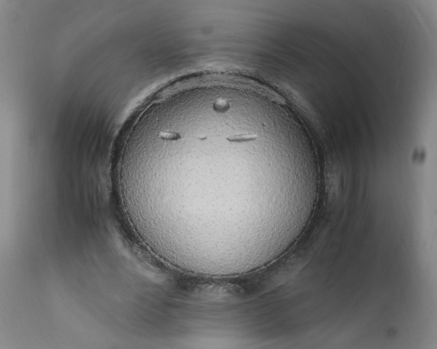 X0000110910488200907021439