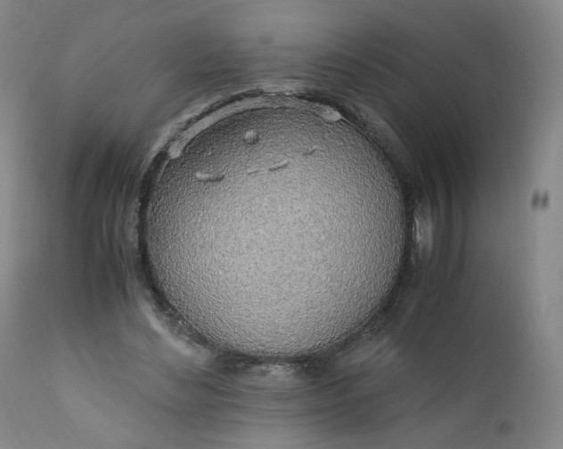 X0000110910492200907021438