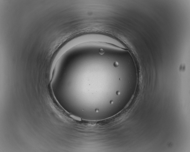 X0000110910493200907021438