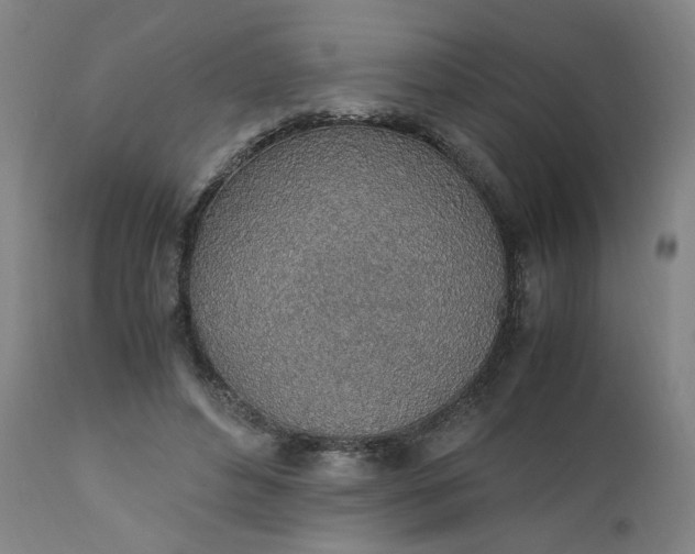 X0000110910496200907021438