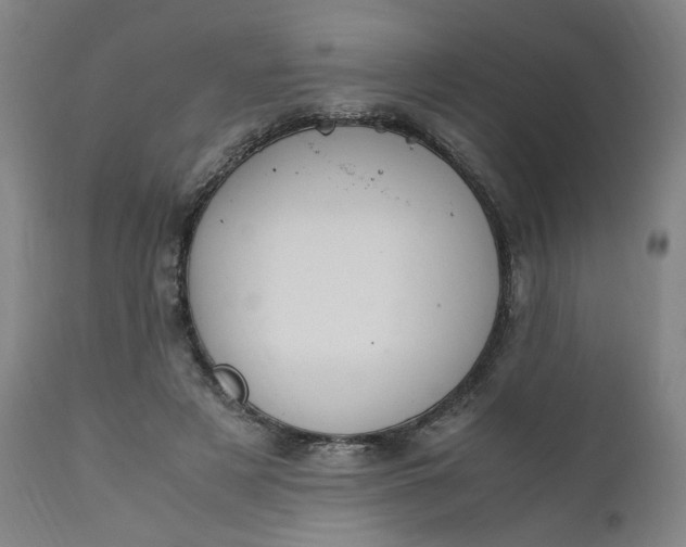 X0000110910497200907021438