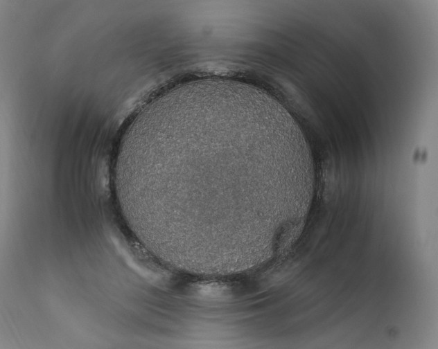 X0000110910500200907021438