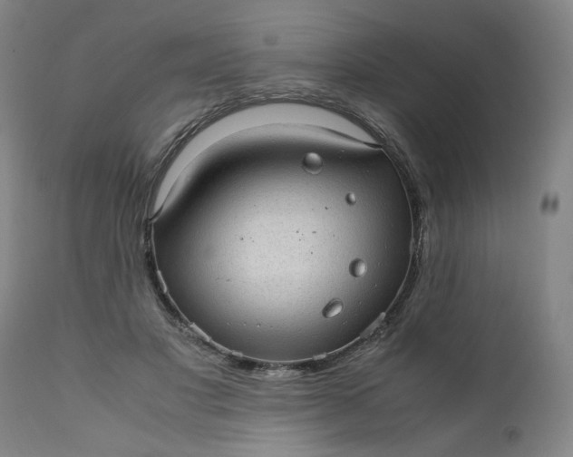 X0000110910501200907021438