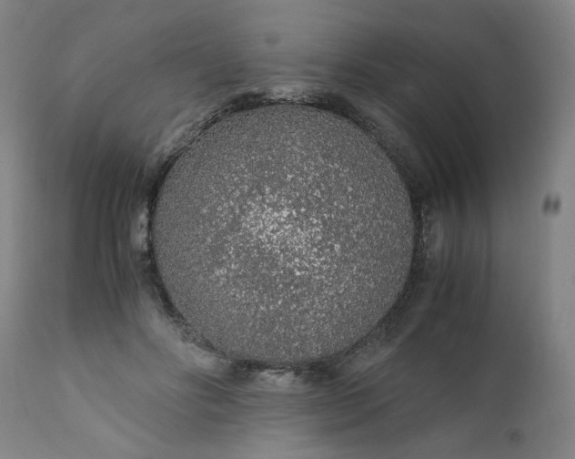 X0000110910502200907021438