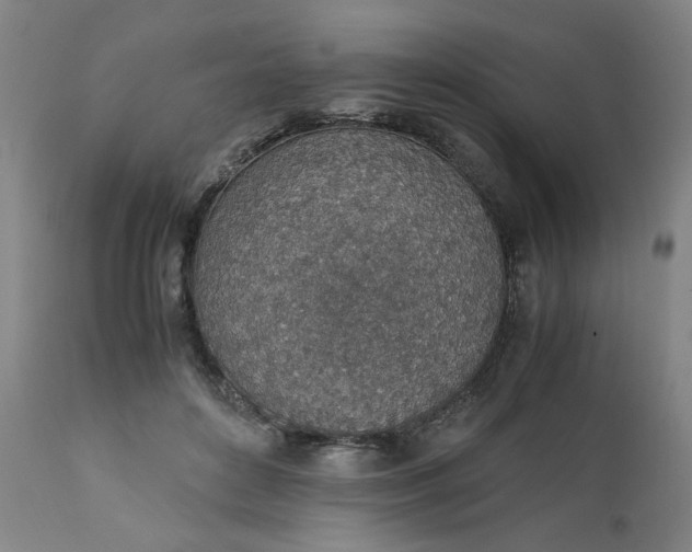 X0000110910504200907021438