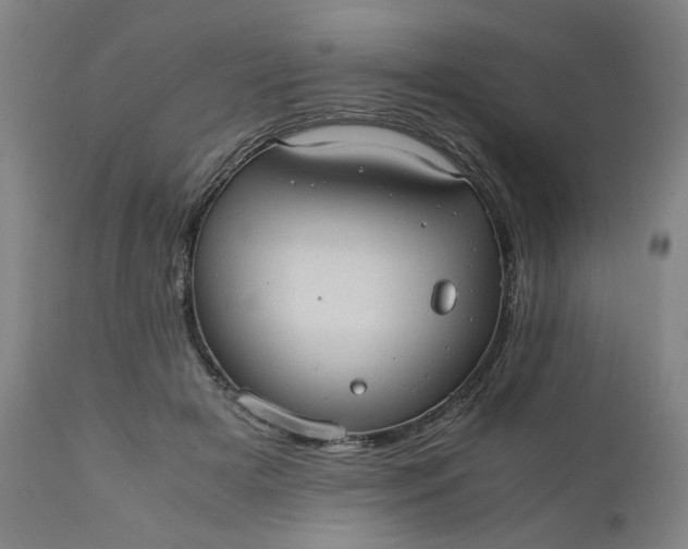 X0000110910505200907021438