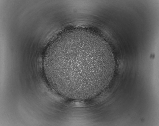 X0000110910506200907021438