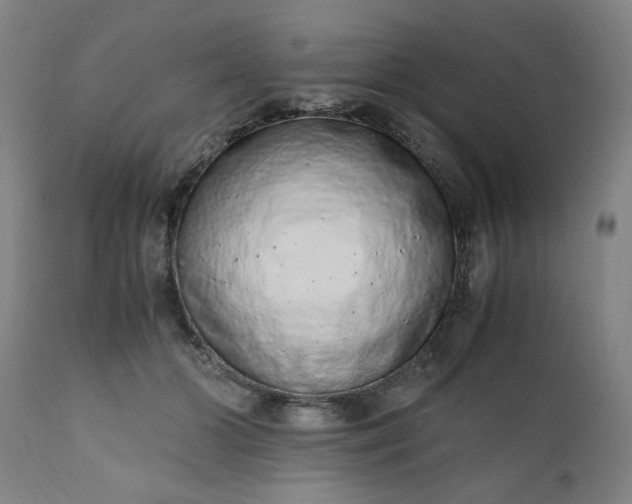 X0000110910510200907021438