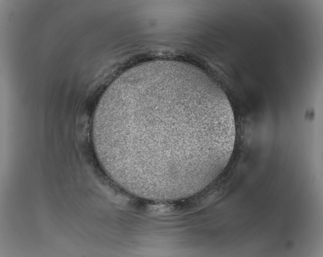 X0000110910511200907021438