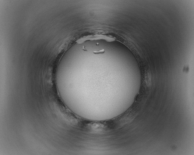 X0000110910512200907021438