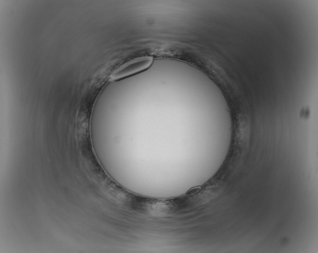 X0000110910513200907021438