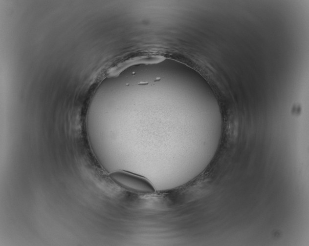 X0000110910516200907021438