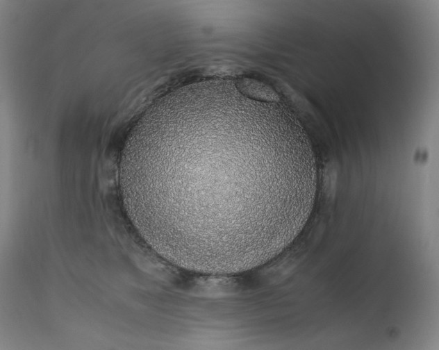 X0000110910517200907021438