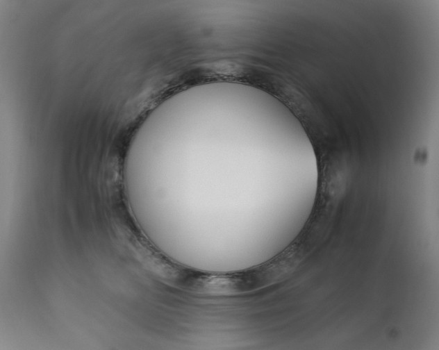 X0000110910518200907021438