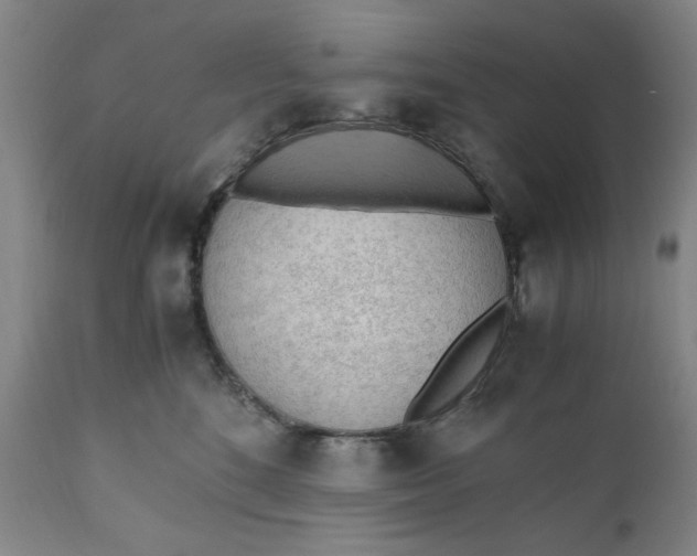 X0000110910520200907021438