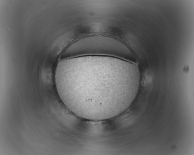 X0000110910524200907021438