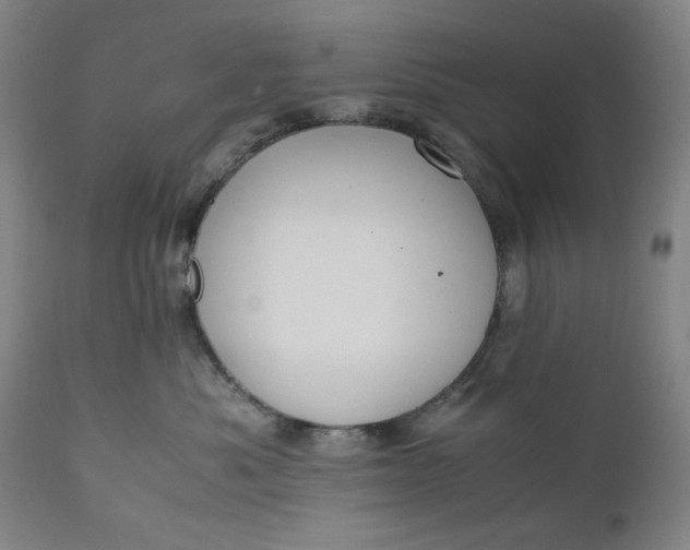 X0000110910525200907021438