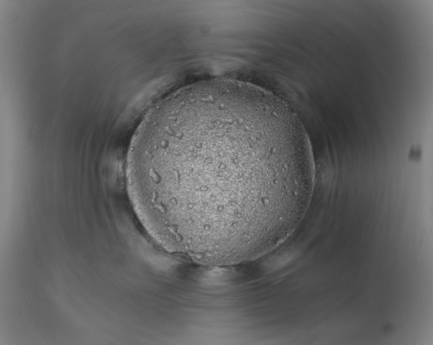 X0000110910527200907021438