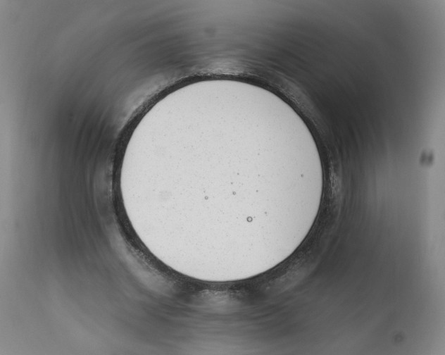 X0000110910534200907021437