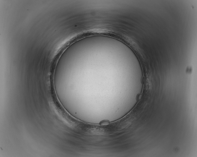 X0000110910535200907021437