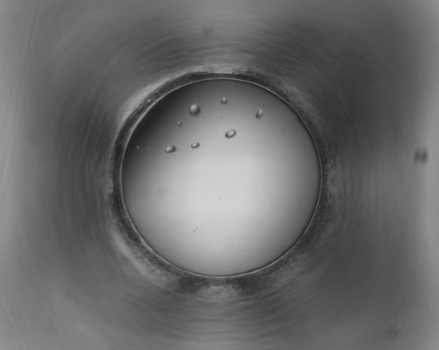 X0000110910536200907021437