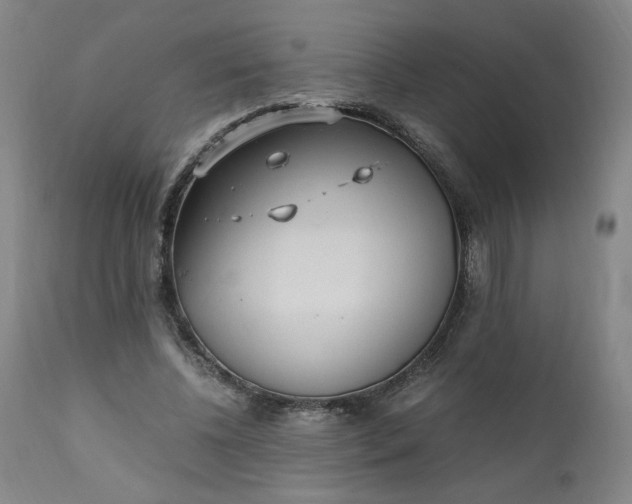 X0000110910540200907021437