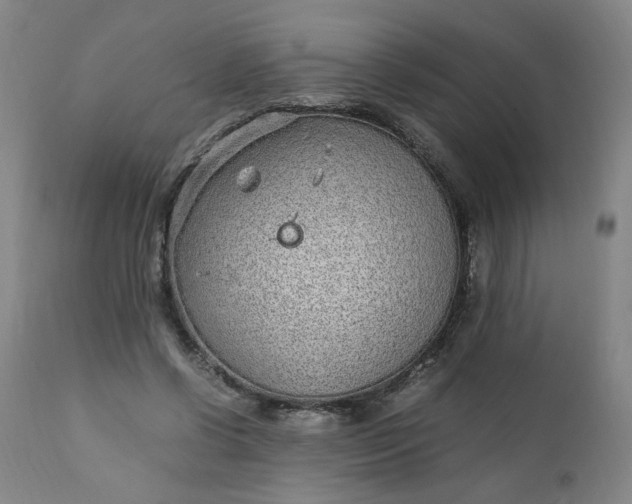 X0000110910542200907021438