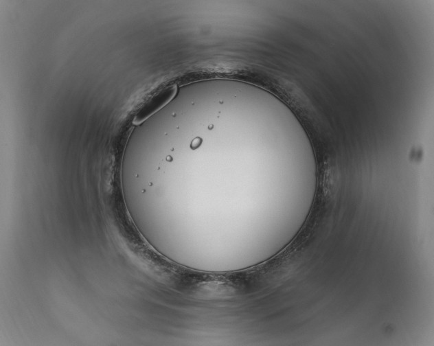 X0000110910544200907021438