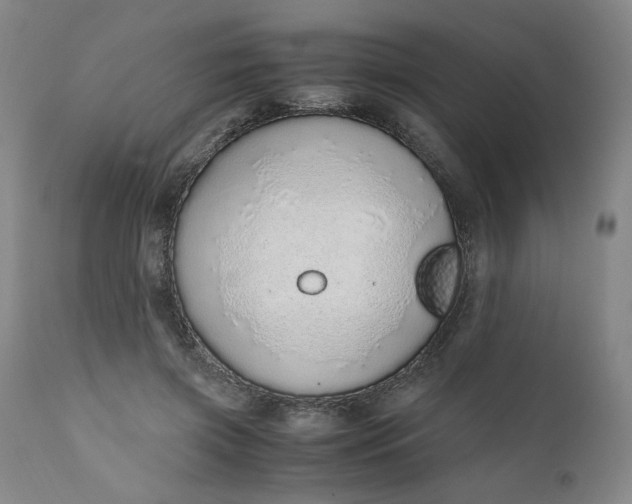 X0000110910549200907021438