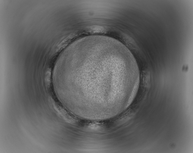 X0000110910550200907021438