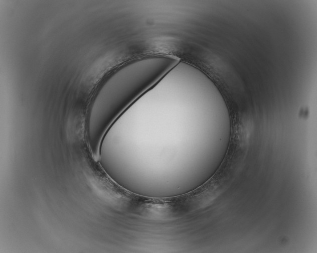 X0000110910552200907021438