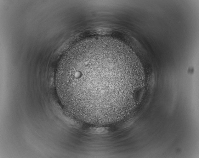 X0000110910553200907021438