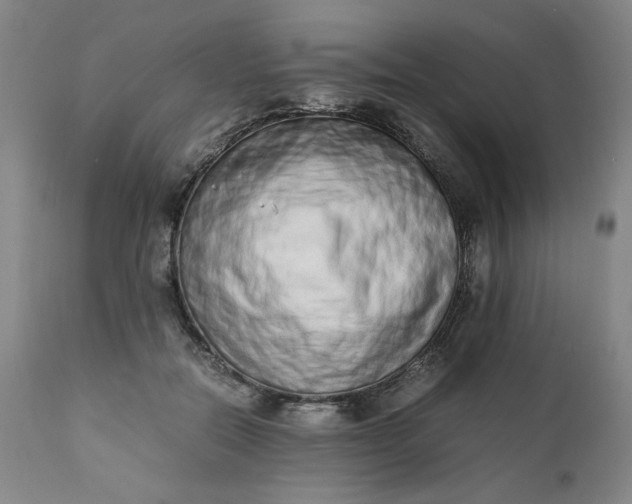 X0000110910554200907021438