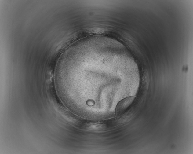 X0000110910555200907021438