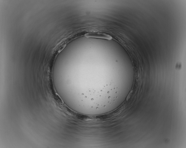 X0000110910556200907021438