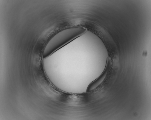 X0000110910558200907021438