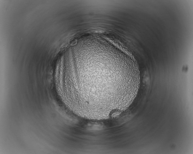 X0000110910559200907021438