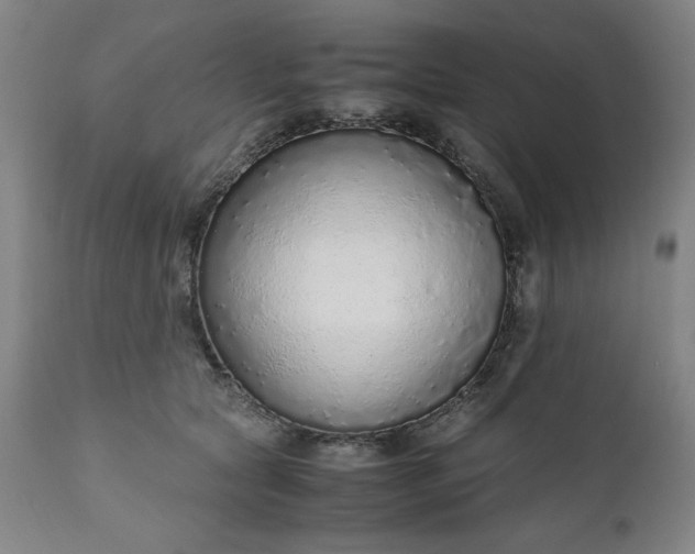 X0000110910561200907021438