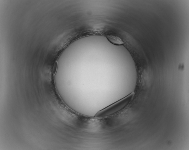 X0000110910562200907021438