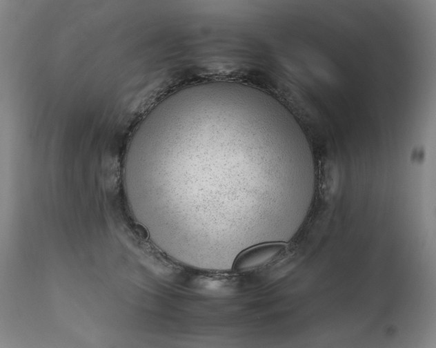 X0000110910563200907021438