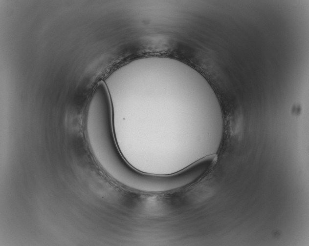 X0000110910564200907021438